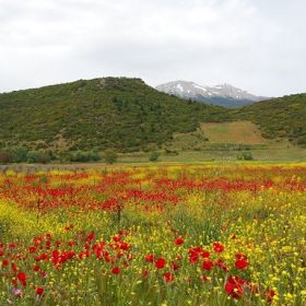 Στυμφαλία 2019 - Η βόλτα